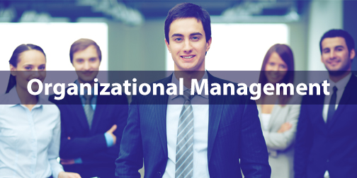 Organizational management